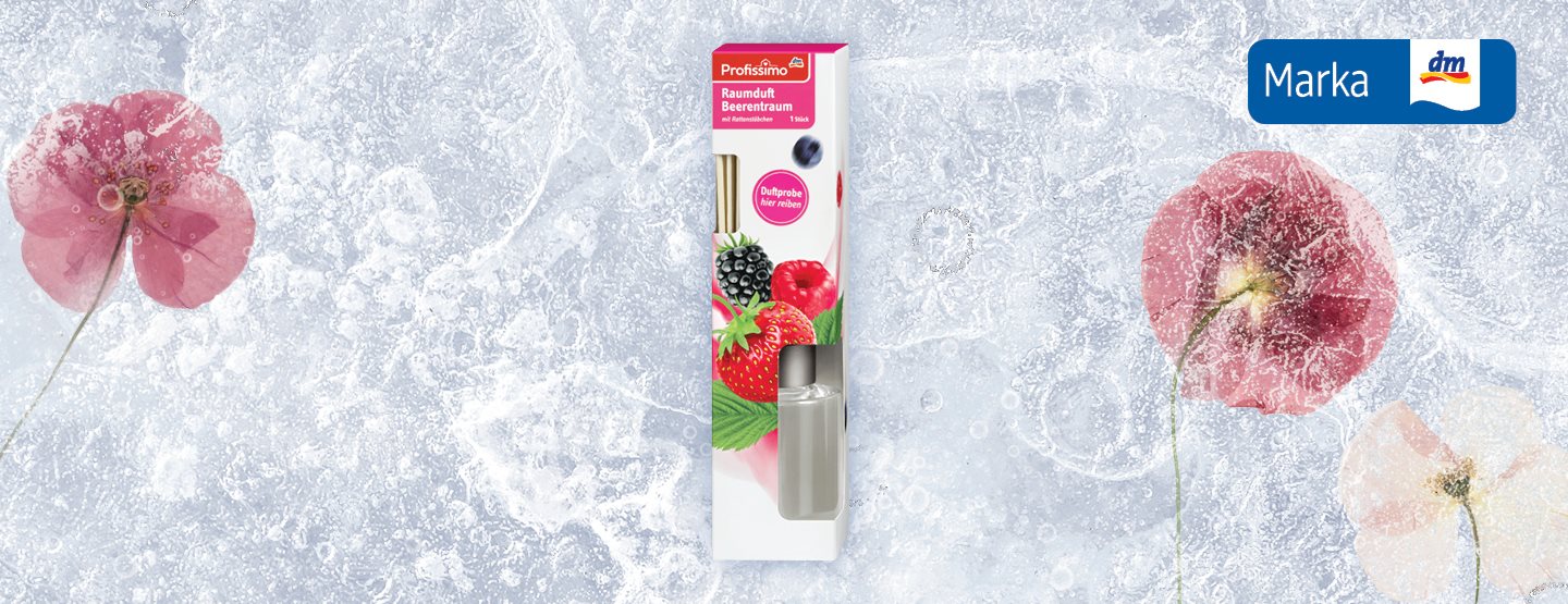 Moj dm praznični kalendar: poklon za tvoj dom