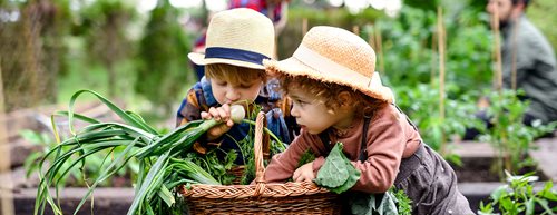 Ljubav prema zelenilu: Sedam ideja za baštovanstvo sa decom