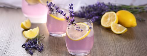 Kako da napravite sirup od lavande – za osvežavajući spritz od lavande